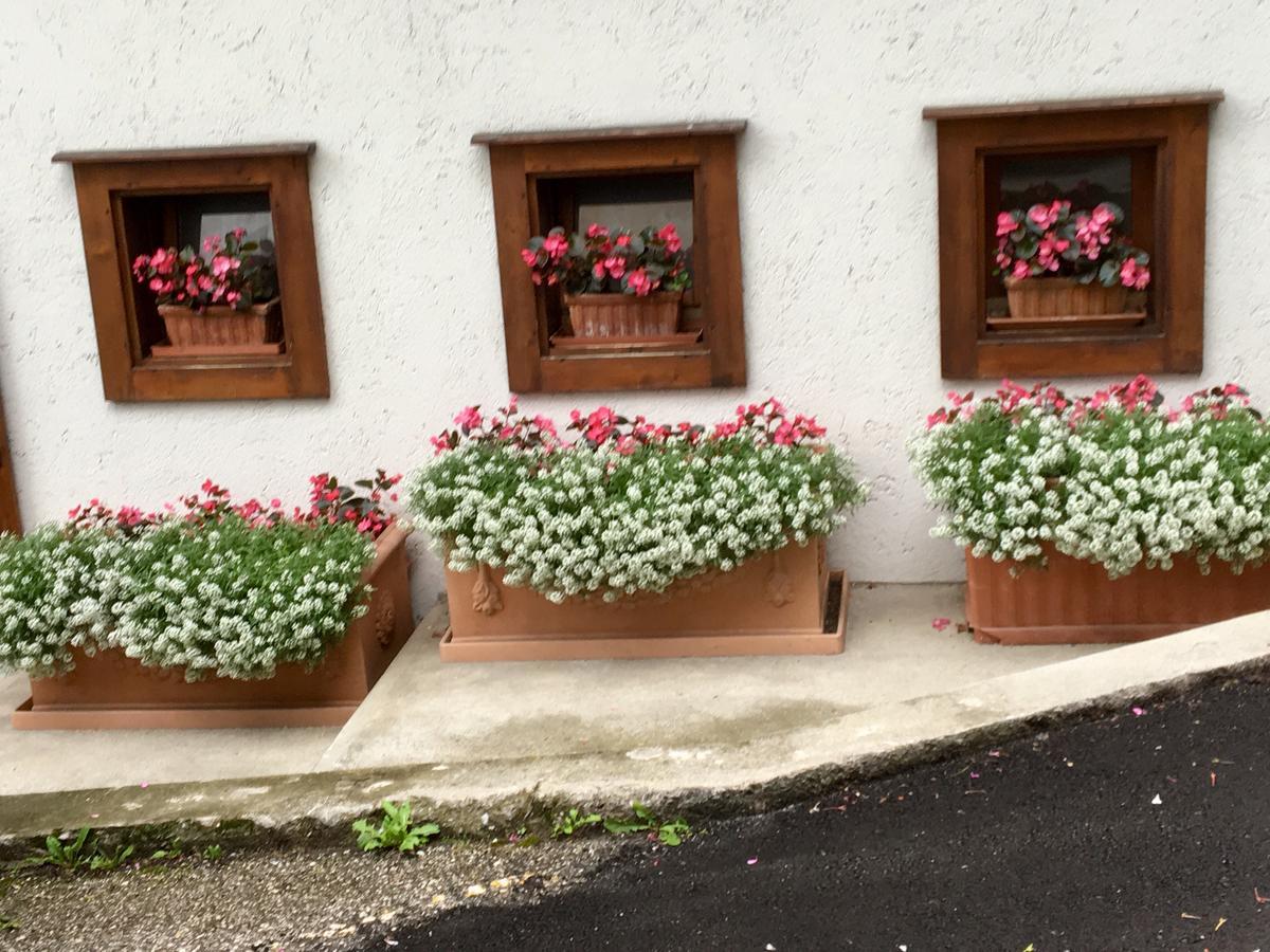 Albergo Meuble Tarandan ฟอร์นี ดิ โซปรา ภายนอก รูปภาพ